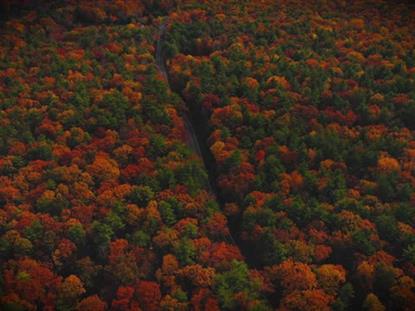 AUTUMN COLORS DRIVE