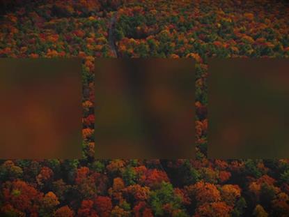 AUTUMN COLORS DRIVE ALT