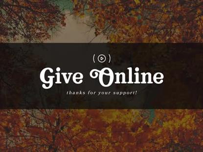 AUTUMN COLORS GIVE STREAM