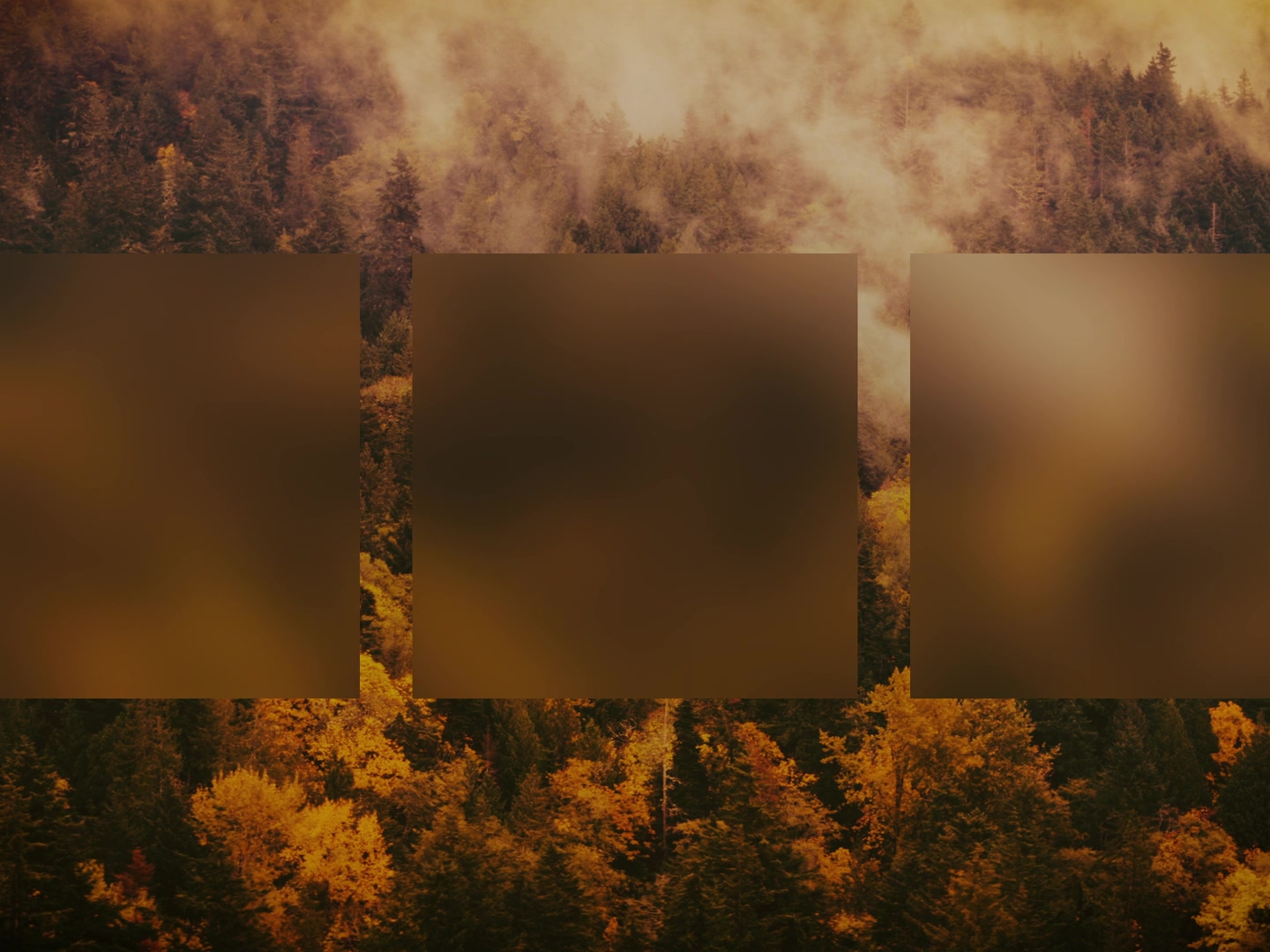 AUTUMN COLORS MISTY ALT