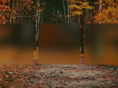 AUTUMN COLORS PATH ALT