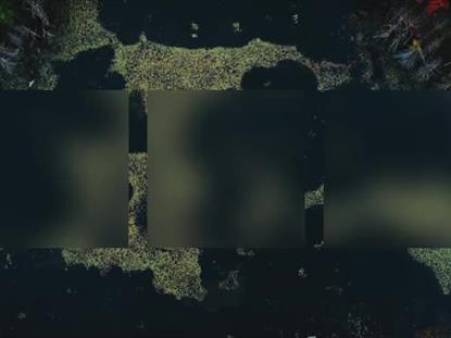 AUTUMN COLORS POND ALT