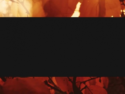 AUTUMN DREAM AWASH BOX