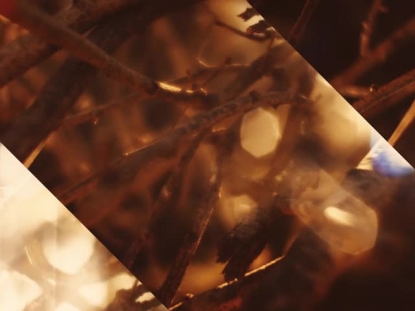 AUTUMN DREAM BRANCH ALT