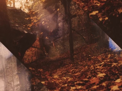 AUTUMN DREAM PATH ALT