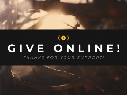 AUTUMN DREAM STREAM GIVE