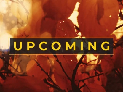 AUTUMN DREAM UPCOMING