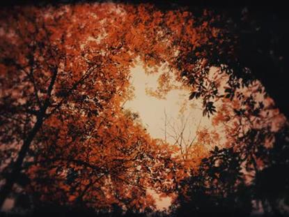 AUTUMN FIRE CONFLAGRATION