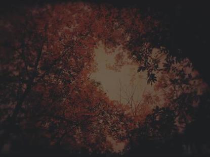 AUTUMN FIRE CONFLAGRATION SUBDUED