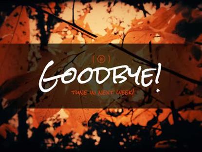 AUTUMN FIRE EXIT STREAM