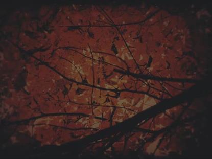 AUTUMN FIRE SMELTER SUBDUED