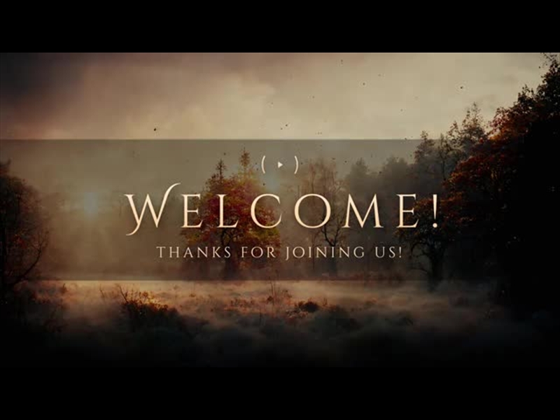 AUTUMN SKYNET WELCOME STREAM