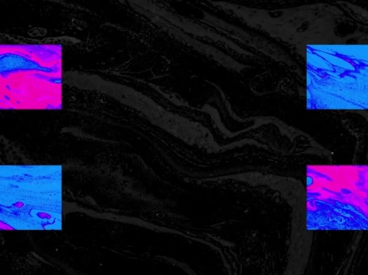 BLACK MARBLE BOXES GRIT