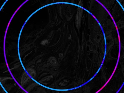 BLACK MARBLE CIRCLES