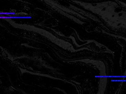 BLACK MARBLE LINES GRIT