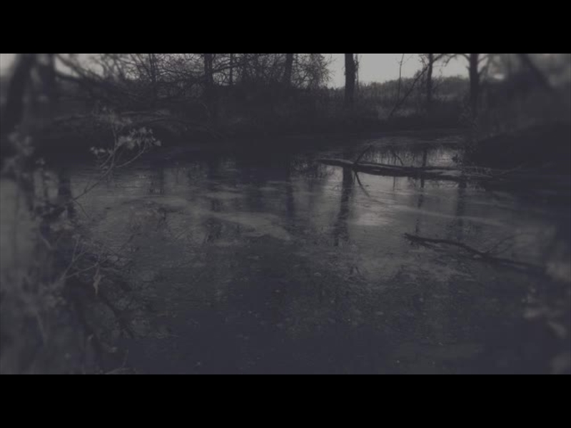 BLEAK BEAUTY FROZEN FADE