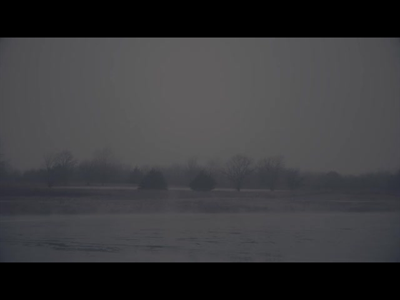 BLEAK BEAUTY MIST FADE