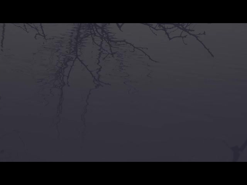 BLEAK BEAUTY POOL FADE