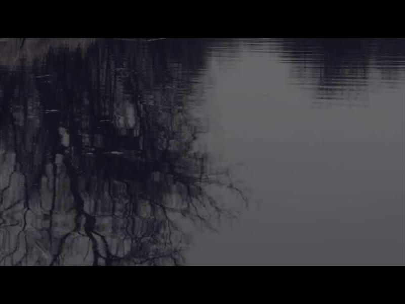 BLEAK BEAUTY REFLECT