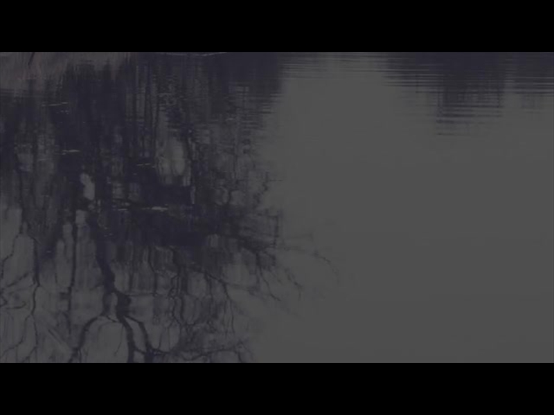 BLEAK BEAUTY REFLECT FADE