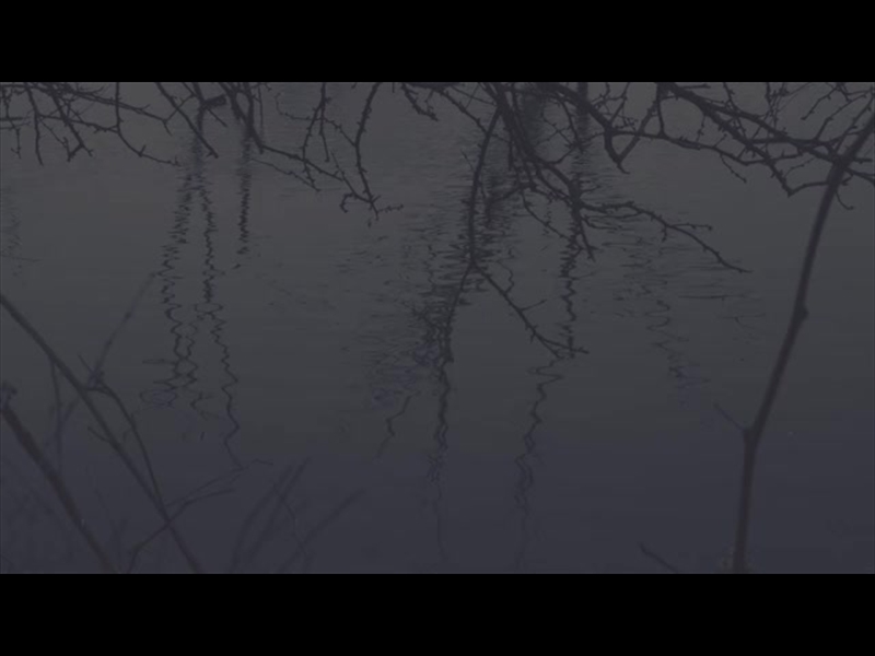 BLEAK BEAUTY RIPPLES FADE