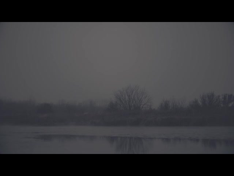 BLEAK BEAUTY SHORELINE FADE