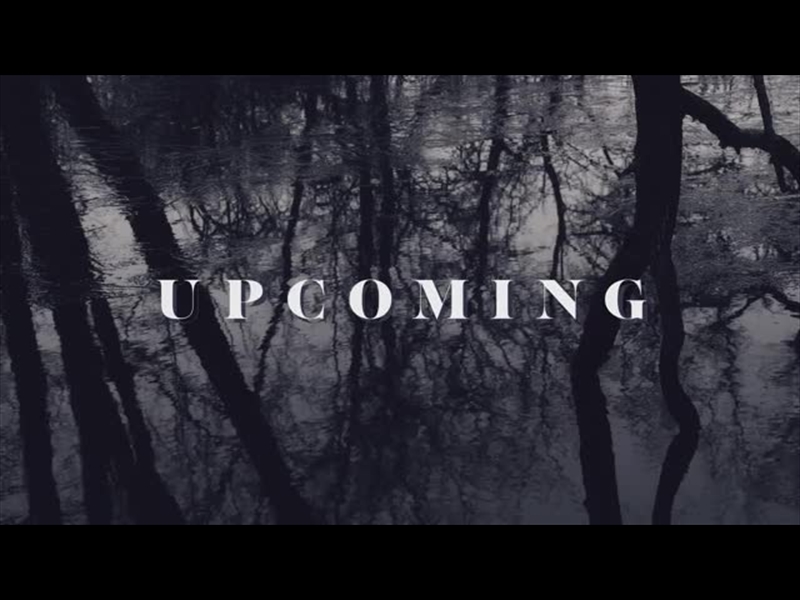 BLEAK BEAUTY UPCOMING