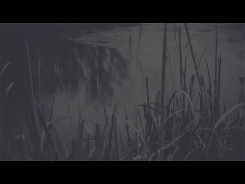 BLEAK BEAUTY WATER EDGE FADE