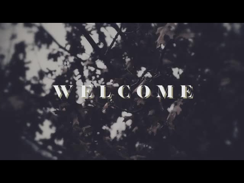 BLEAK BEAUTY WELCOME