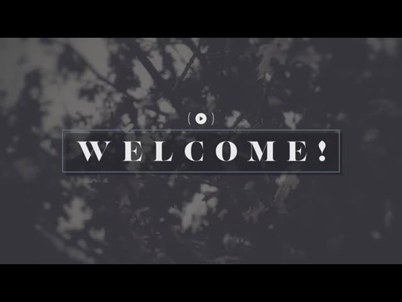 BLEAK BEAUTY WELCOME STREAM