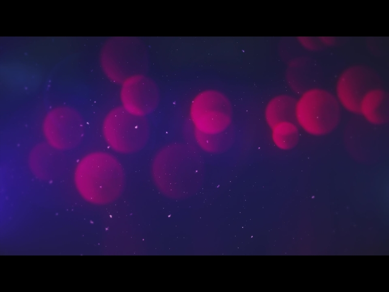 CHRISTMAS FLOURISH 2