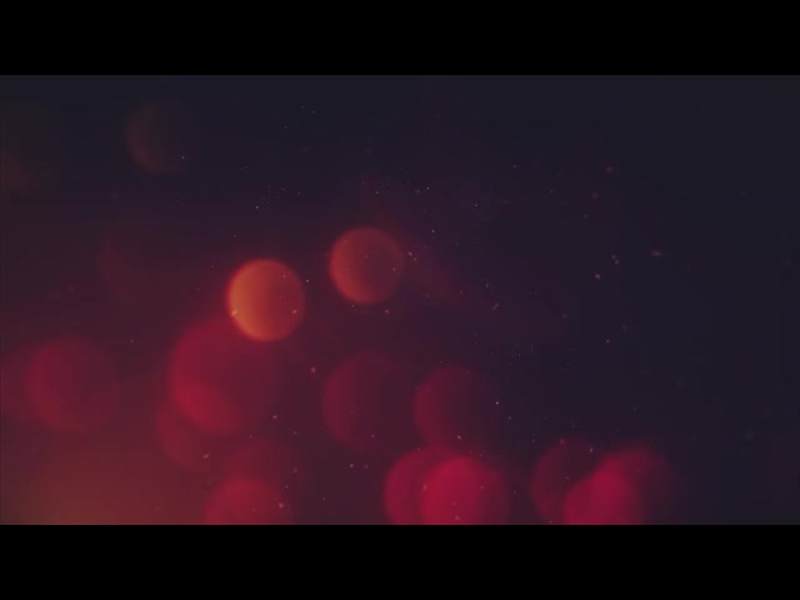 CHRISTMAS FLOURISH 10