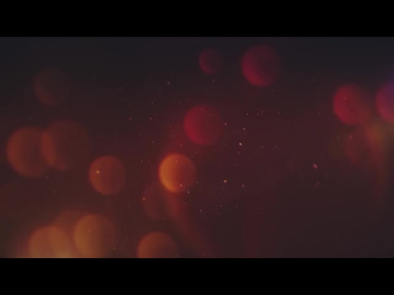 CHRISTMAS FLOURISH 5