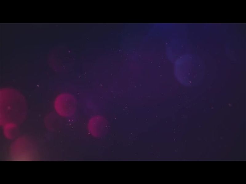 CHRISTMAS FLOURISH 6