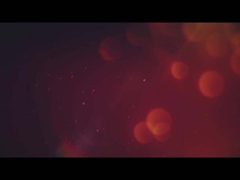 CHRISTMAS FLOURISH 8