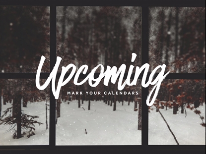 CHRISTMAS WINDOWS UPCOMING