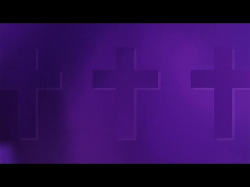 COLOR CROSS PURPLE FOG ALT