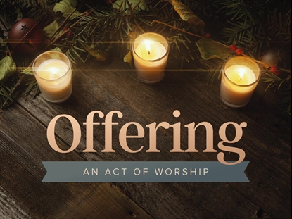 COZY ADVENT OFFERING