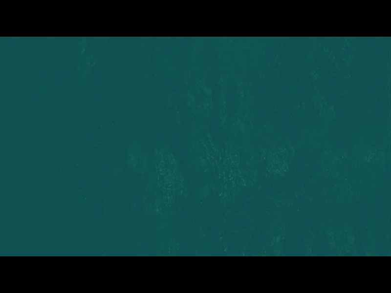 DARK SURFACE SIX ALT