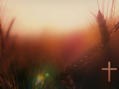 DAYS END BOUNTY CROSS