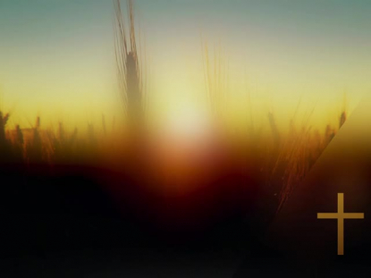 DAYS END FIELD CROSS