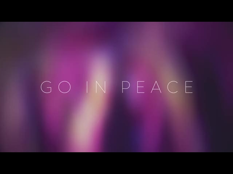 FALLEN LIGHT EXIT MOTION