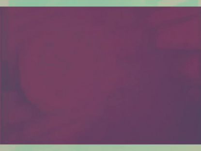 FILTER FRAMES PLUM ALT