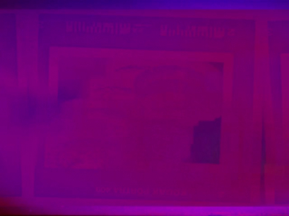 FILTER FRAMES PURPLE ALT