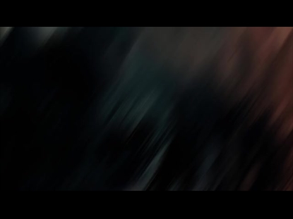 HOLLOW STAR FLOWER BLUR