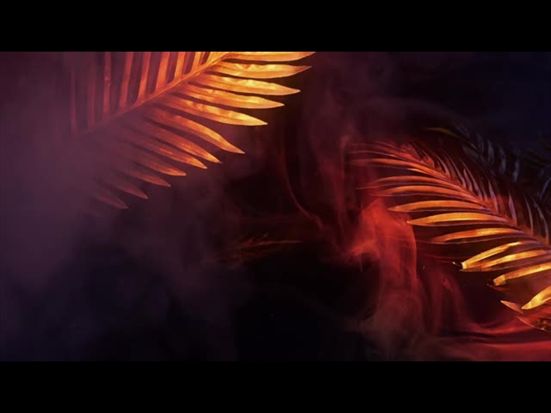 HOLY WEEK REFLECTIONS 12