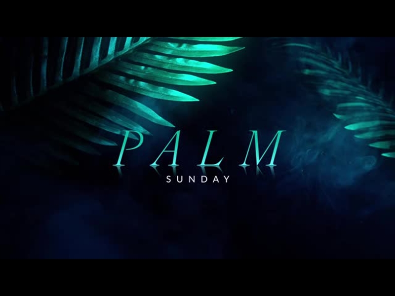 HOLY WEEK REFLECTIONS PALM SUNDAY