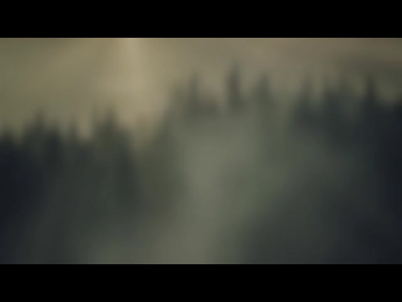 LUMBERJACK DAD DUSK ALT