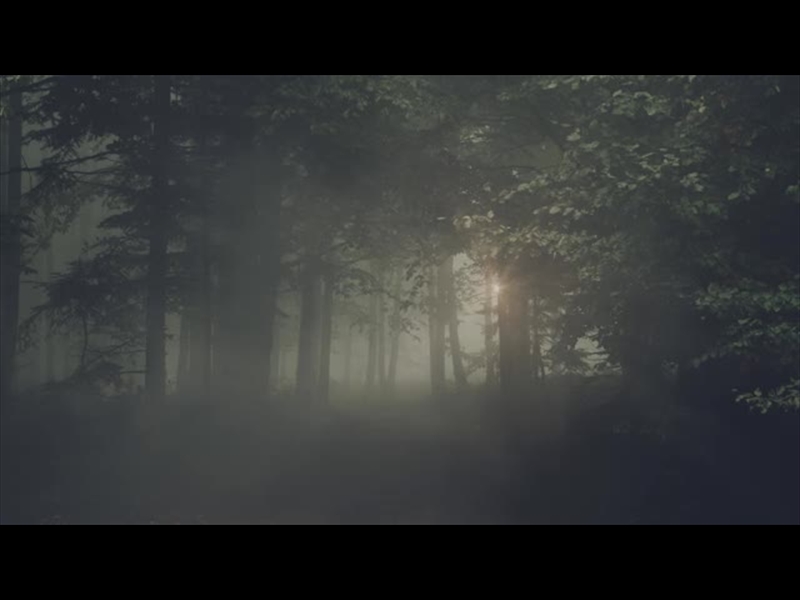 LUMBERJACK DAD FOGGY