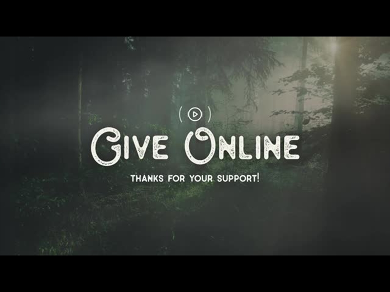 LUMBERJACK DAD GIVE STREAM